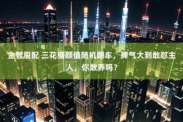金智股配 三花猫颜值随机翻车，脾气大到敢怼主人，你敢养吗？