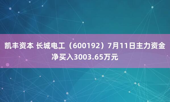 凯丰资本 长城电工（600192）7月11日主力资金净买入3003.65万元