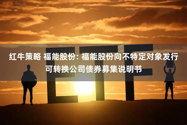 红牛策略 福能股份: 福能股份向不特定对象发行可转换公司债券募集说明书
