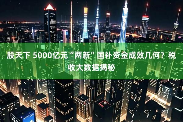 股天下 5000亿元“两新”国补资金成效几何？税收大数据揭秘
