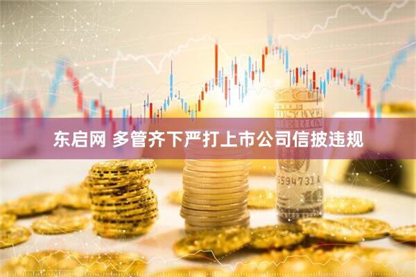 东启网 多管齐下严打上市公司信披违规